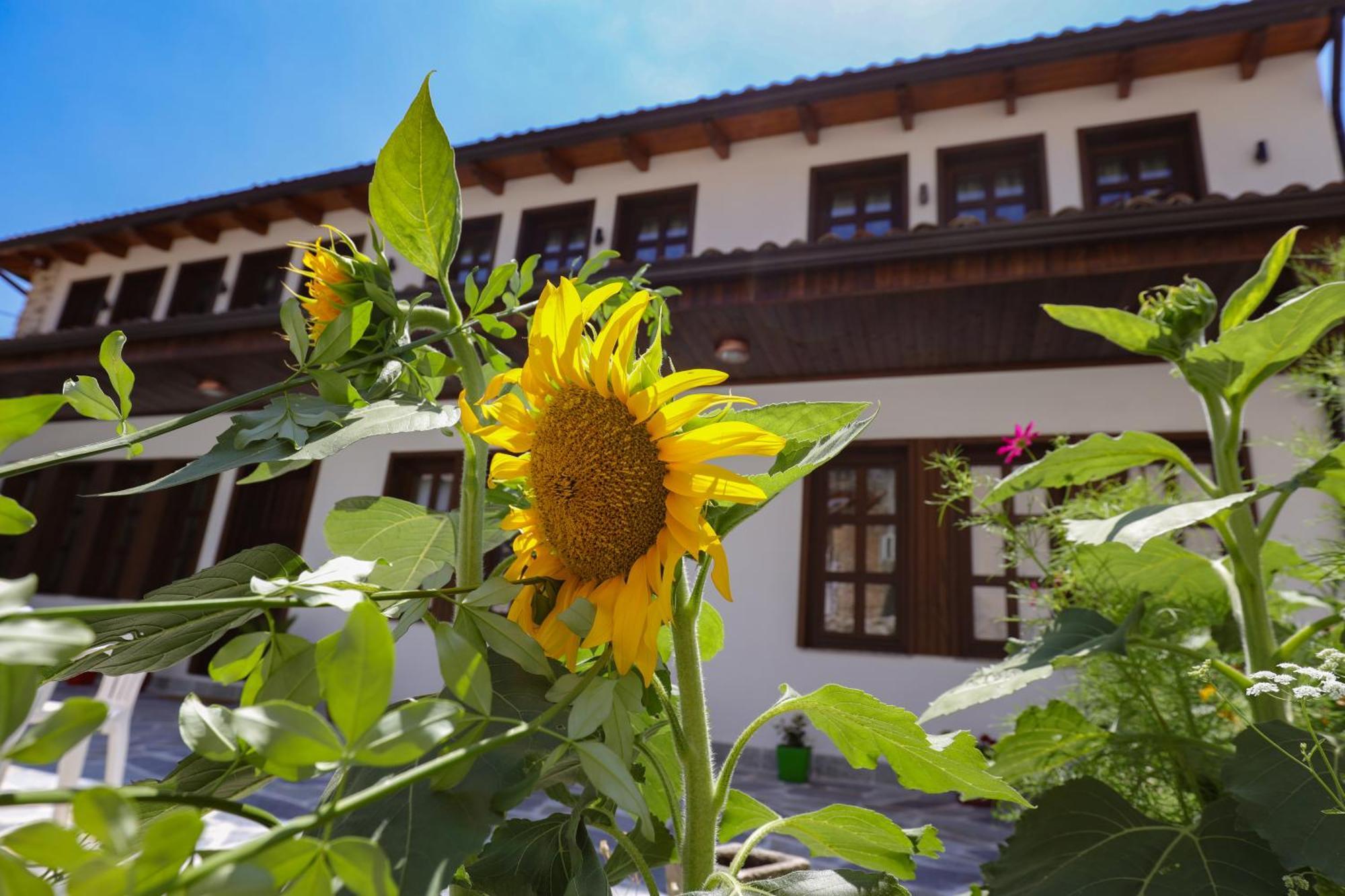 The House Of Dollma , Inside Kruja Castle Hotel Luaran gambar